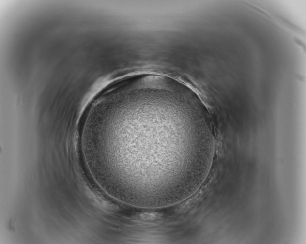 X0000096220152200801251104