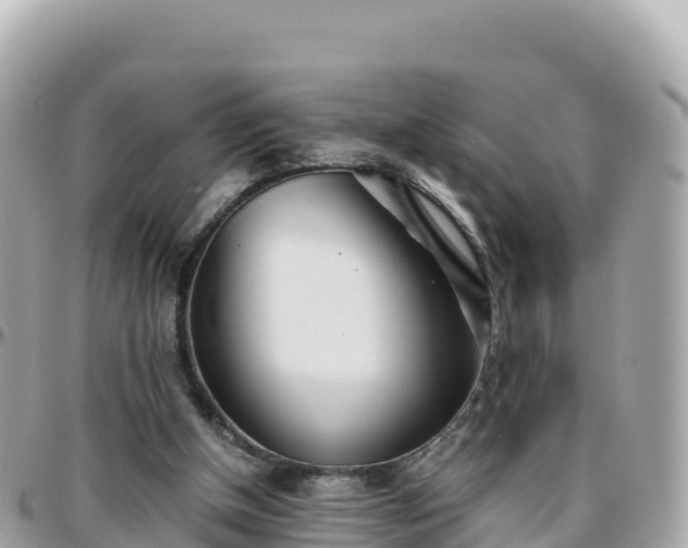 X0000096220154200801251104