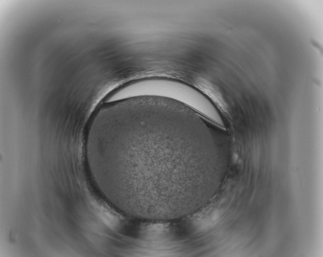 X0000096220156200801251104