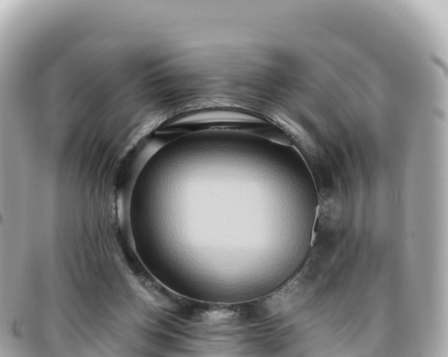 X0000096220158200801251104