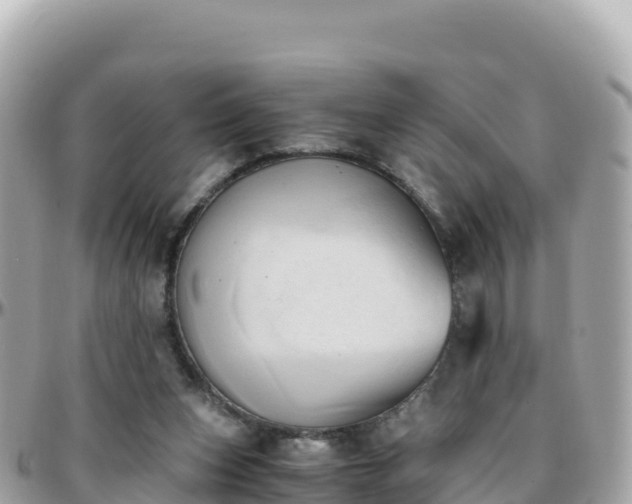 X0000096220159200801251104