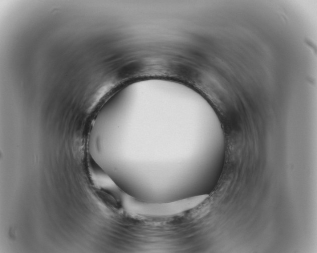 X0000096220160200801251104