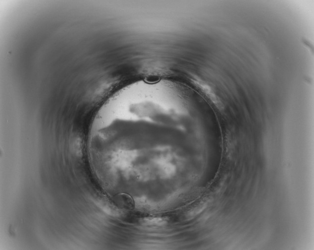 X0000096220161200801251104