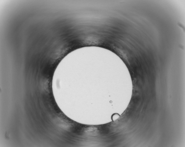 X0000096220162200801251104