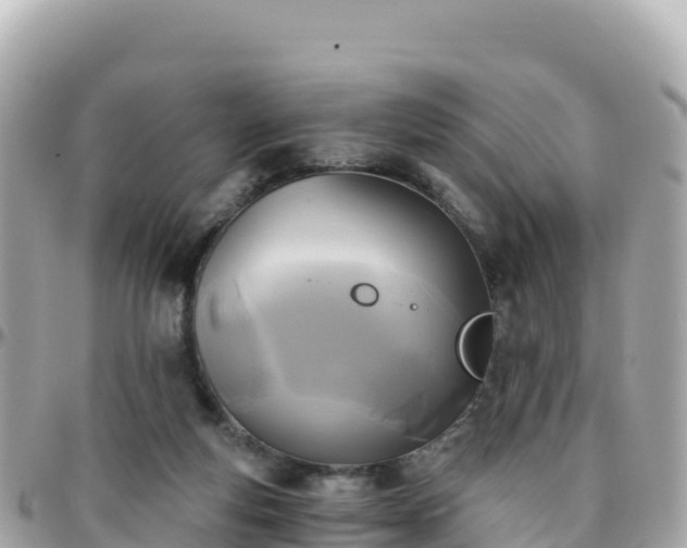 X0000096220163200801251104