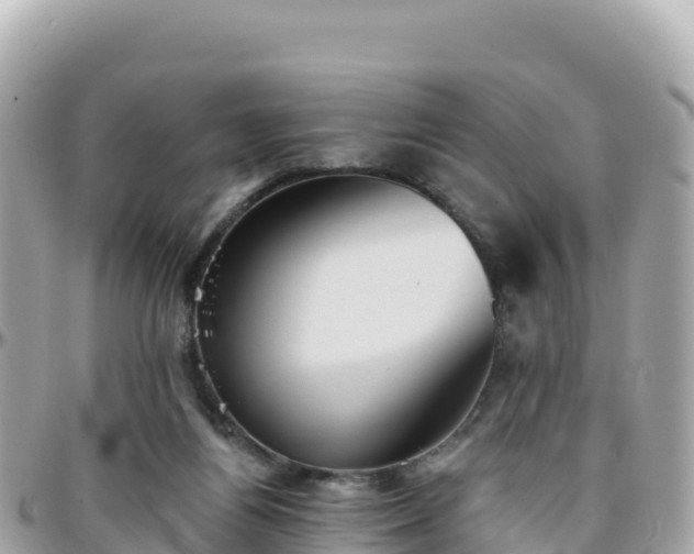 X0000096220164200801251104