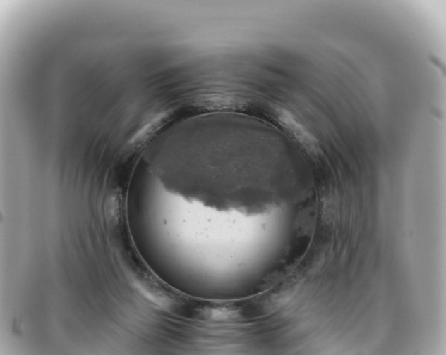 X0000096220165200801251104