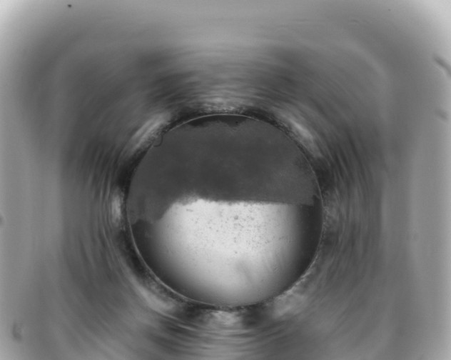 X0000096220166200801251104