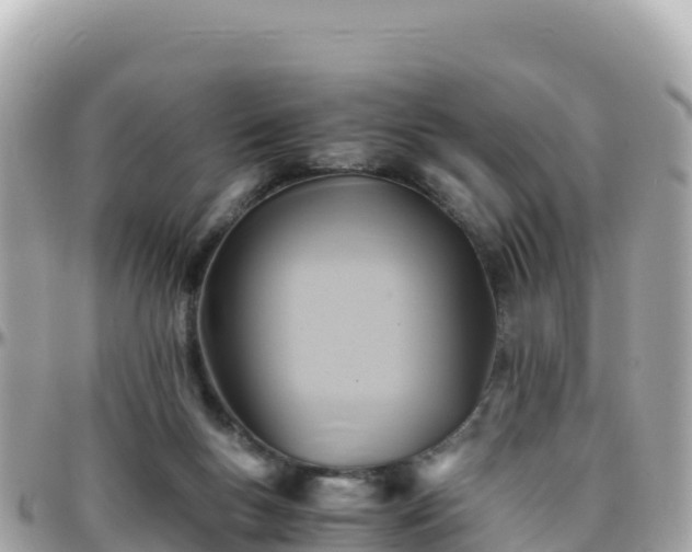 X0000096220167200801251105