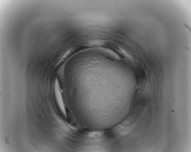 X0000096220168200801251105