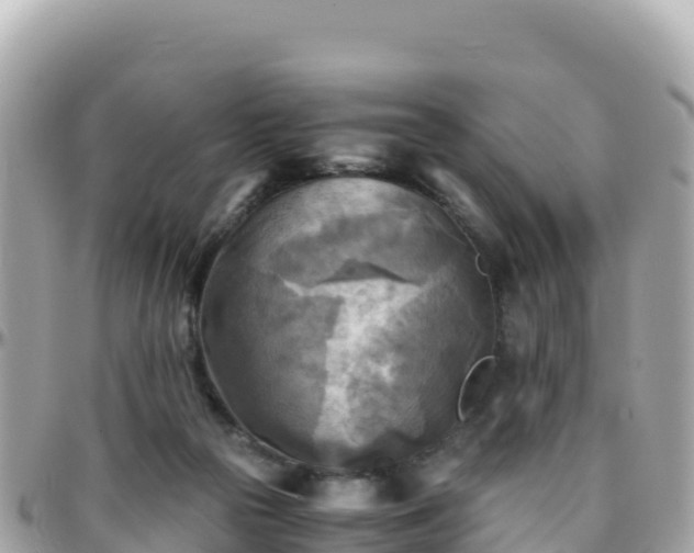 X0000096220169200801251105