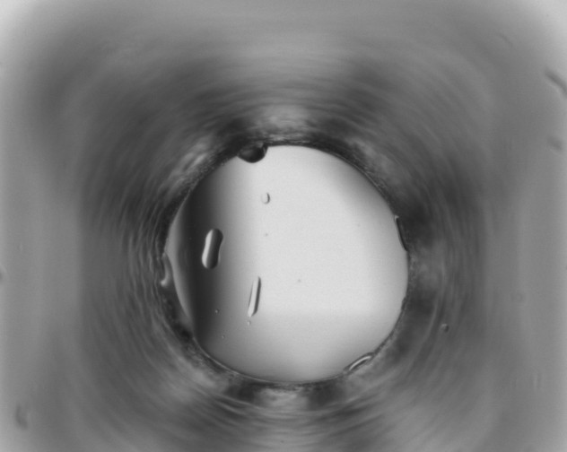 X0000096220170200801251105