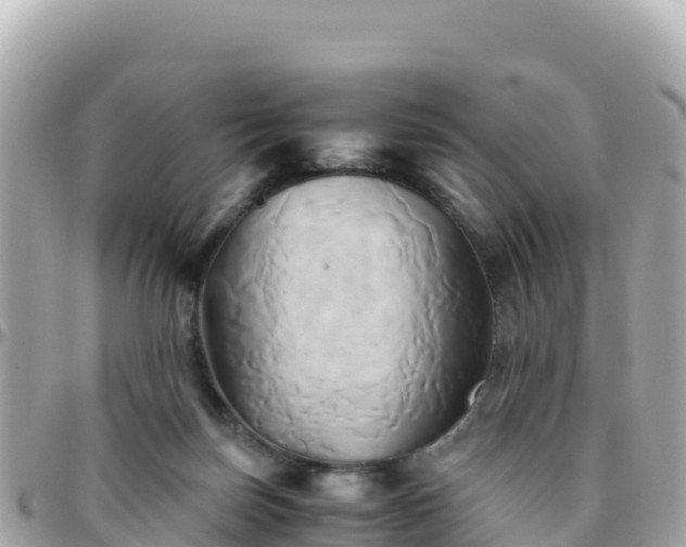 X0000096220171200801251105