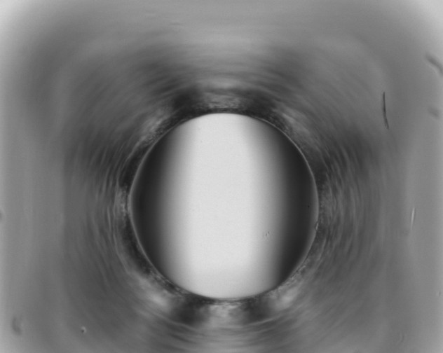 X0000096220172200801251105