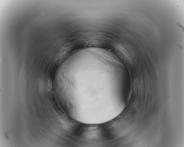 X0000096220173200801251105