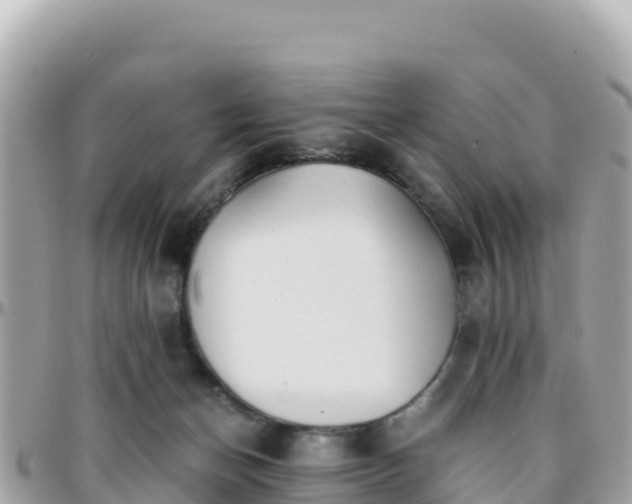 X0000096220174200801251105