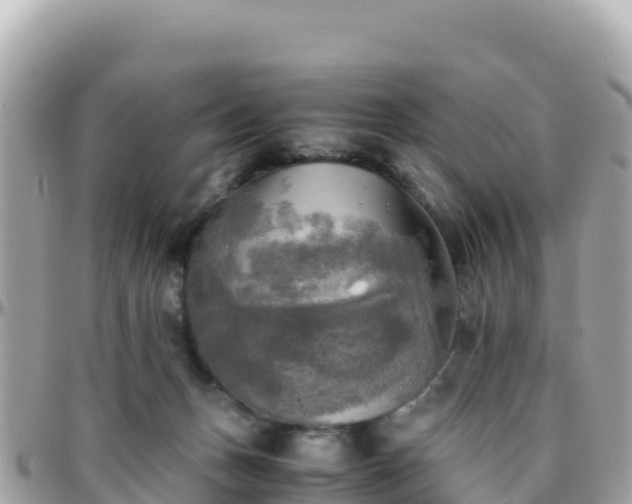 X0000096220175200801251105