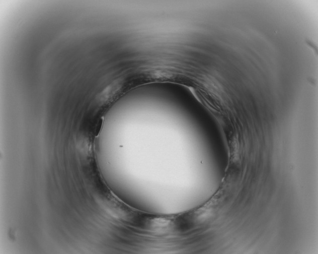 X0000096220176200801251105