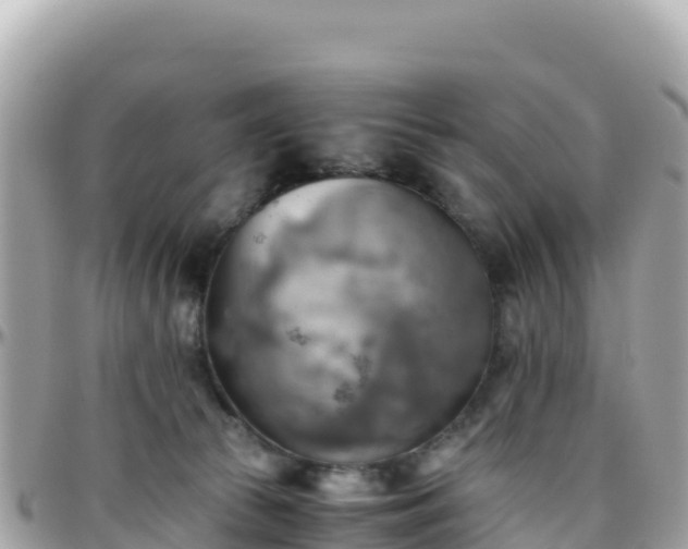 X0000096220177200801251105