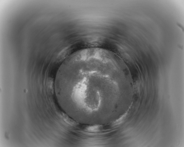 X0000096220178200801251105