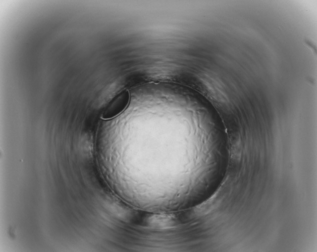 X0000096220179200801251105