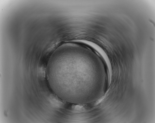 X0000096220180200801251105