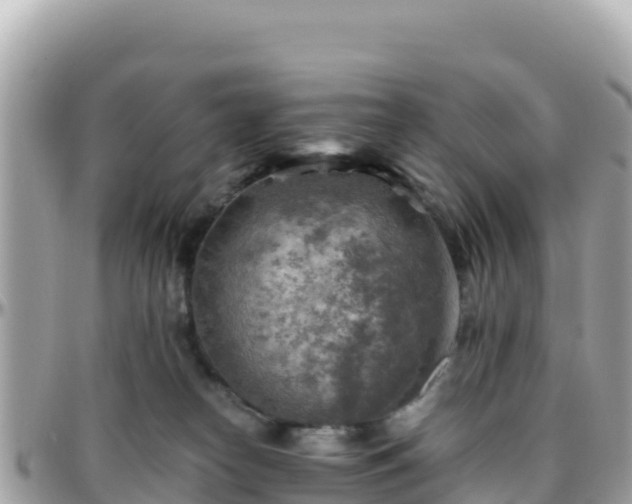 X0000096220182200801251105