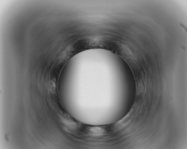 X0000096220183200801251105