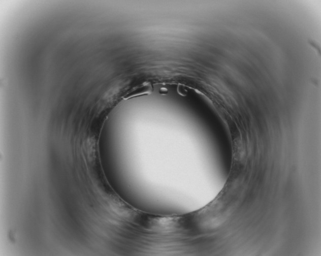 X0000096220184200801251105