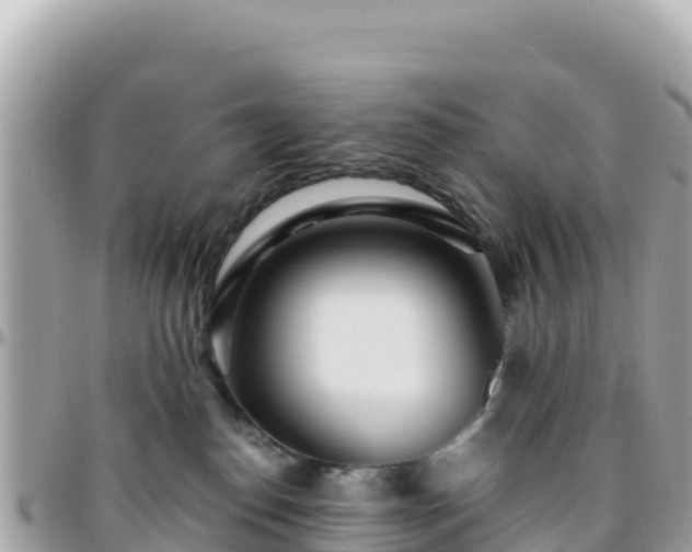 X0000096220186200801251105