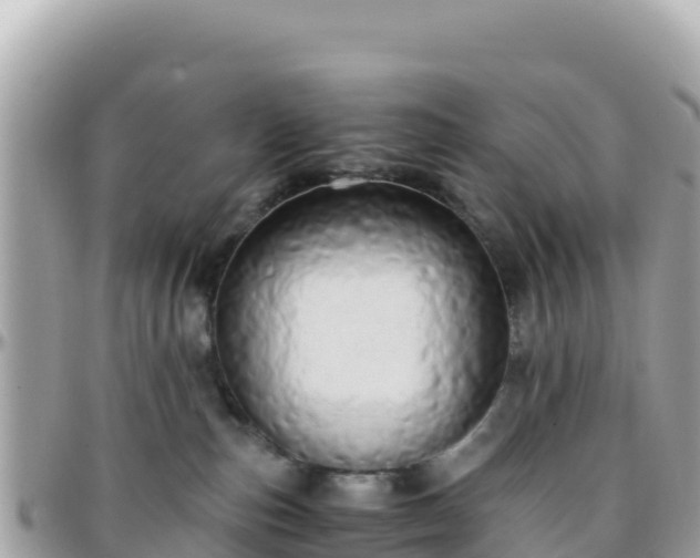 X0000096220187200801251105