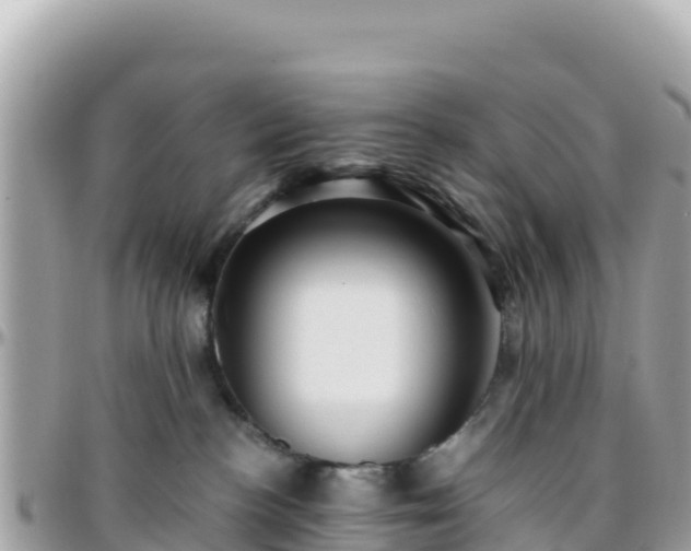 X0000096220188200801251105