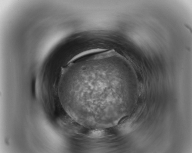 X0000096220189200801251105