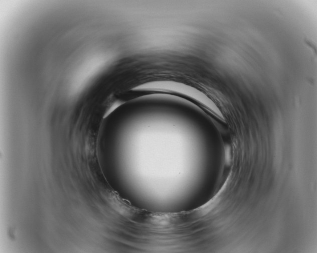 X0000096220190200801251105