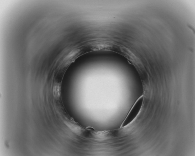 X0000096220191200801251105