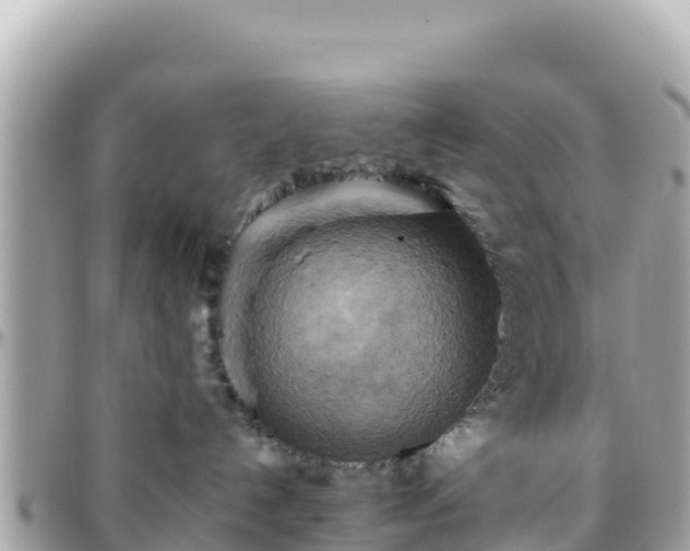 X0000096220192200801251105