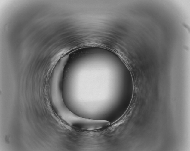 X0000096220193200801251104