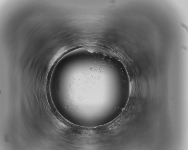 X0000096220195200801251104