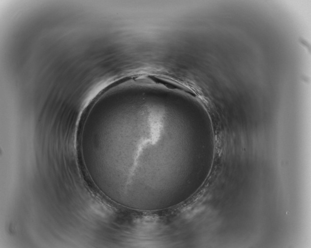 X0000096220196200801251104