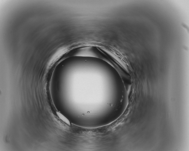 X0000096220197200801251104