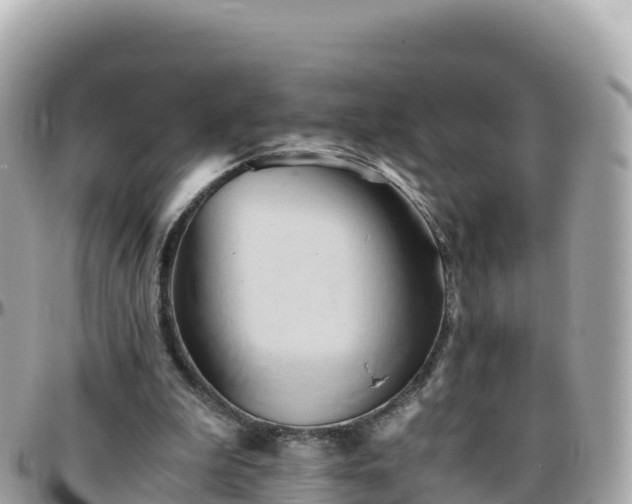 X0000096220199200801251104