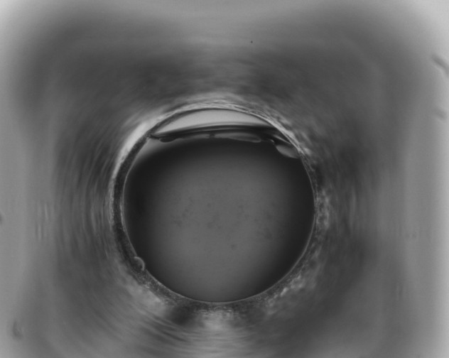 X0000096220200200801251104