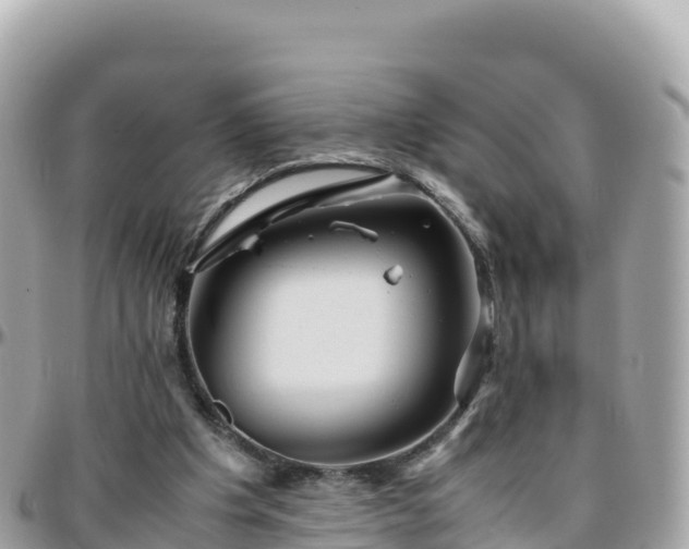 X0000096220201200801251104