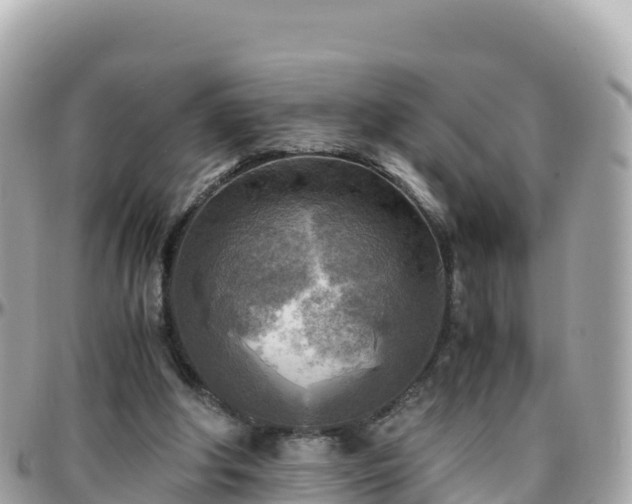 X0000096220202200801251104