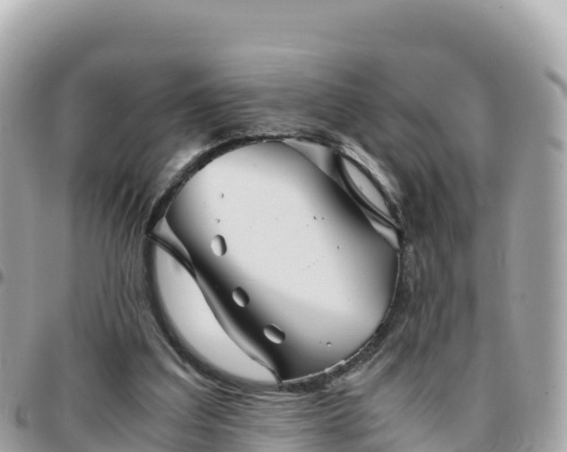 X0000096220203200801251104