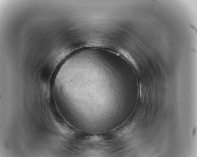 X0000096220204200801251104