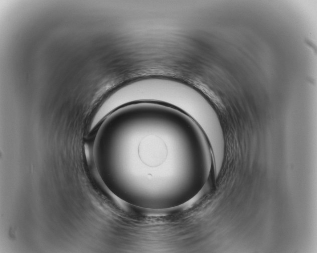 X0000096220207200801251104