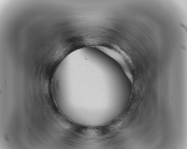 X0000096220209200801251104