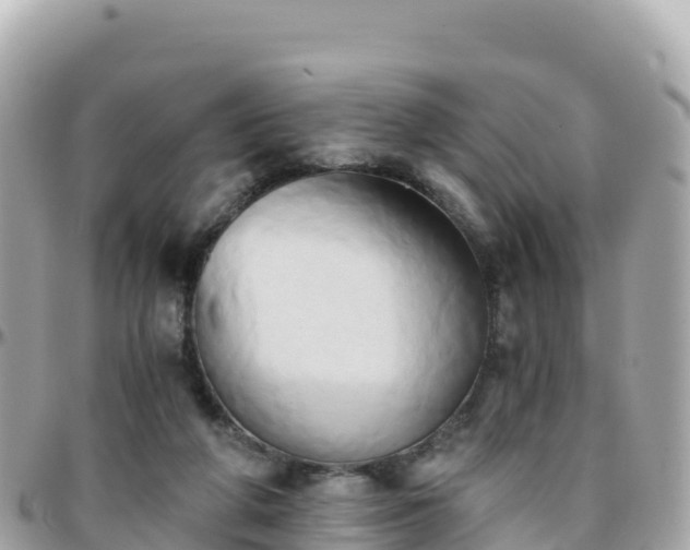 X0000096220210200801251104