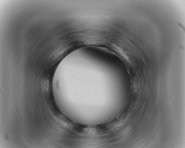 X0000096220211200801251104